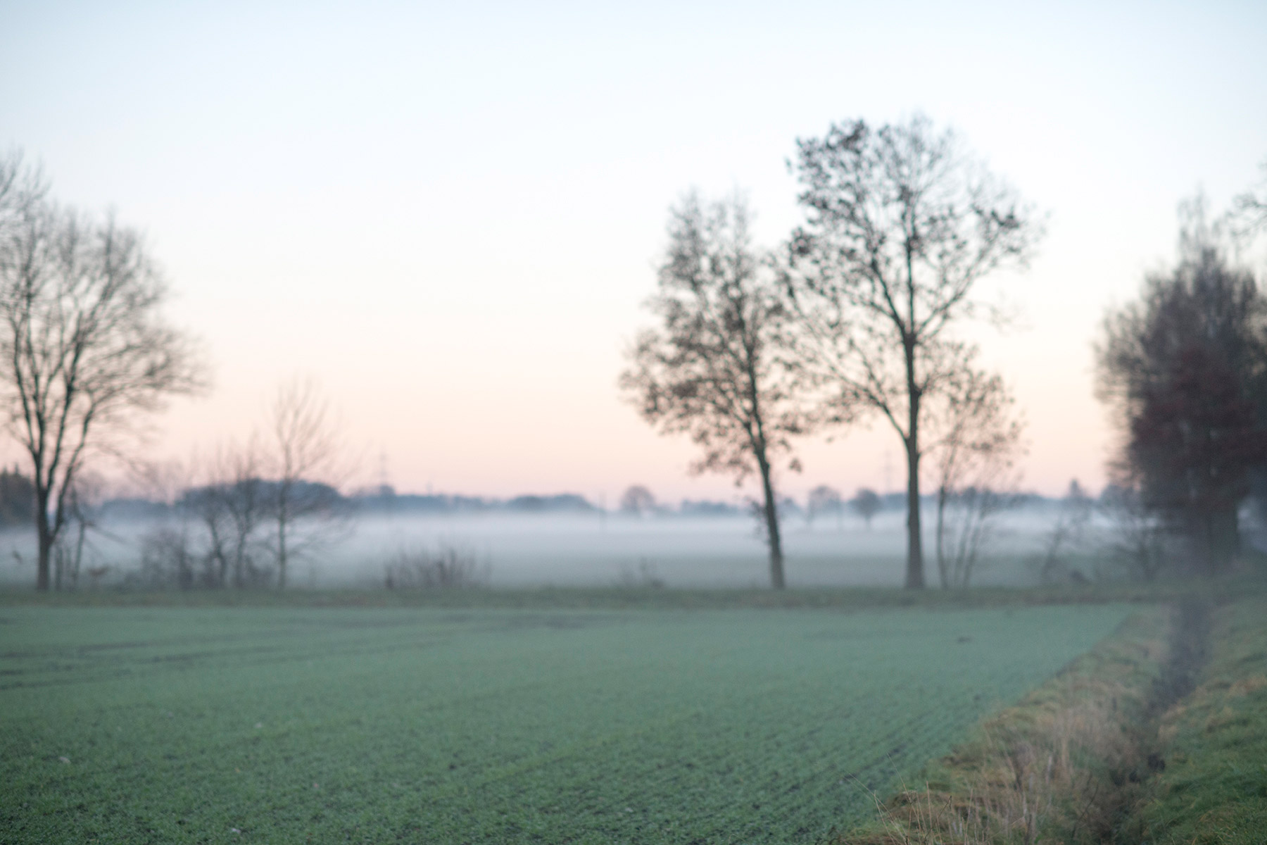 Landschaft im Nebel